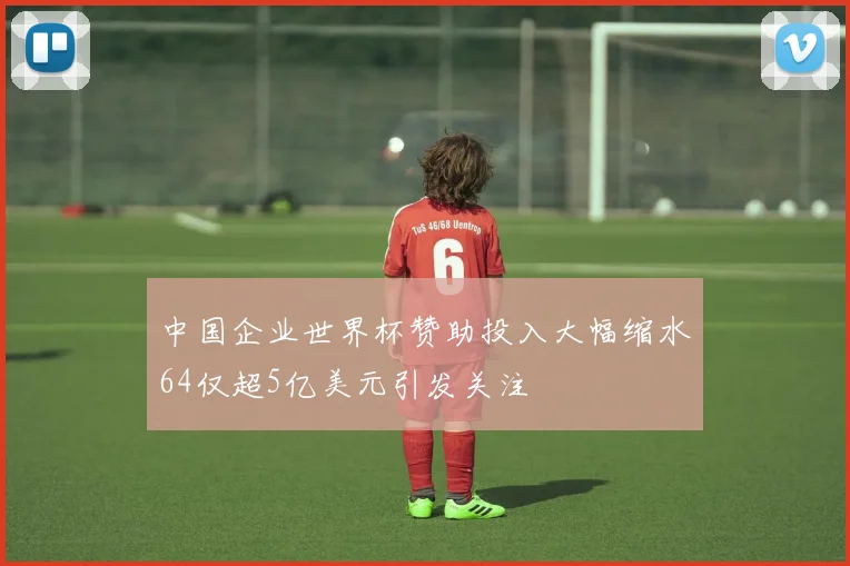 中国企业世界杯赞助投入大幅缩水64仅超5亿美元引发关注