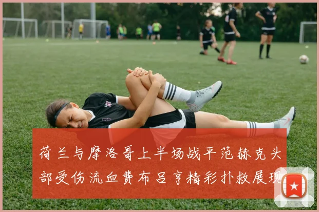 荷兰与摩洛哥上半场战平范赫克头部受伤流血费布吕亨精彩扑救展现实力