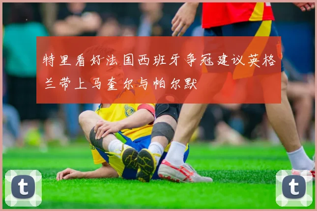 特里看好法国西班牙争冠建议英格兰带上马奎尔与帕尔默